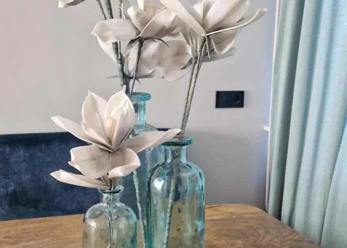 Modern Spacious Within Walking Distance Of The North Sea In Vakantiehuis