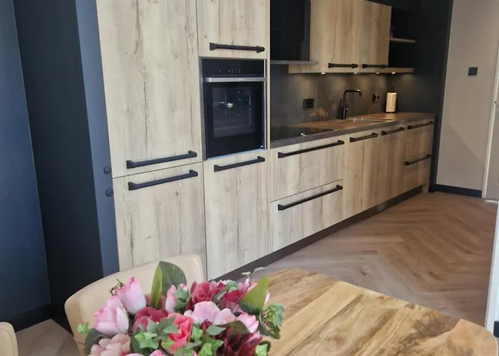 Modern Spacious Within Walking Distance Of The North Sea In Dom wakacyjny De Koog (Texel)