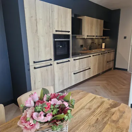 Modern Spacious Within Walking Distance Of The North Sea In Semesterbostad De Koog (Texel)